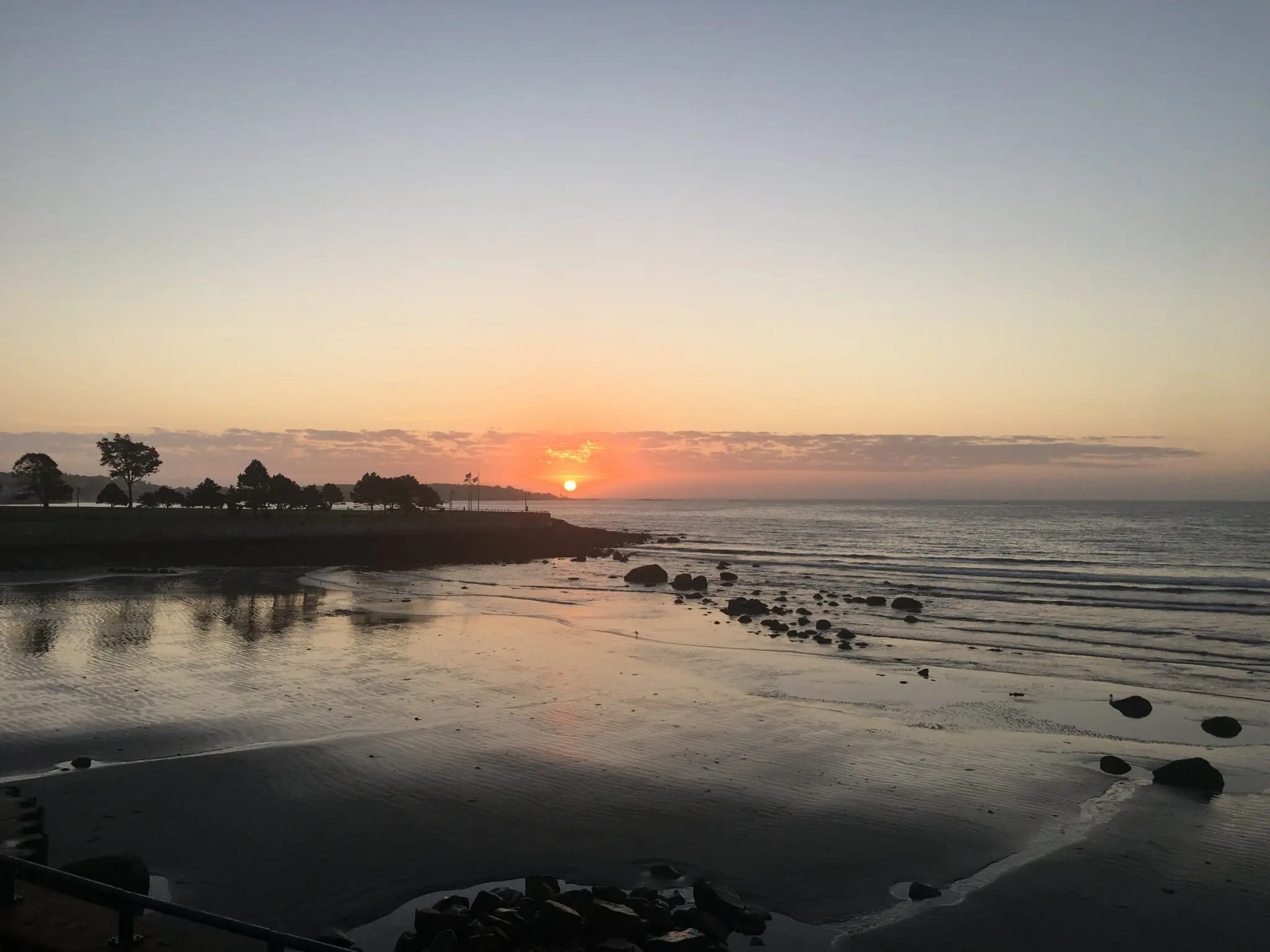 Non-profit Organizations – Friends Of Lynn & Nahant Beach