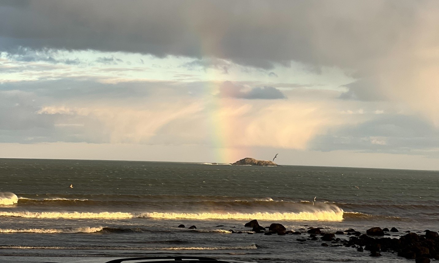 Friends of Lynn & Nahant Beach