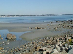 Environmental – Friends of Lynn and Nahant Beach