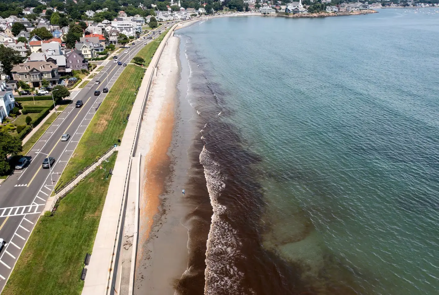 Latest News & Updates – Friends of Lynn and Nahant Beach